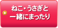 ねこ・うさぎと一緒にまったりイベント